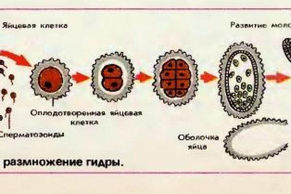 Нарко магазин кракен